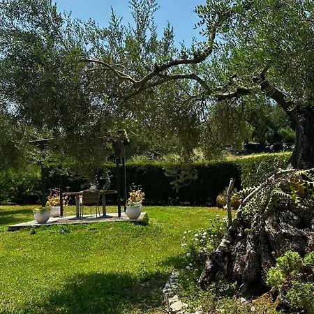 Apartmán Serenity Arillas Corfu